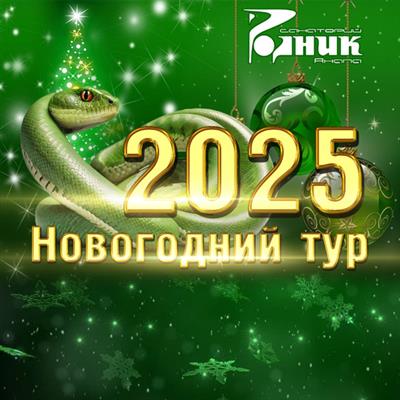 Новогодний и Рождественский туры 2025